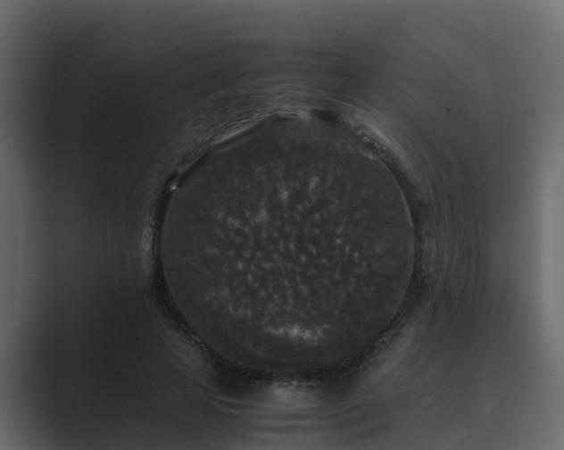 X0000089670641200706281340