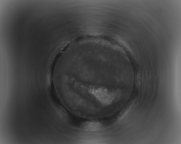 X0000089670644200706281340