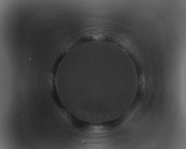 X0000089670650200706281340
