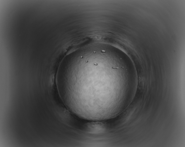 X0000089670652200706281340
