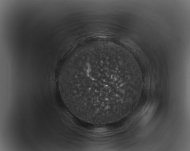 X0000089670653200706281340