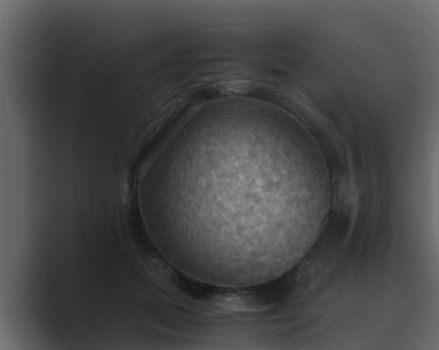 X0000089670655200706281340