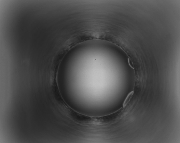 X0000089670656200706281340