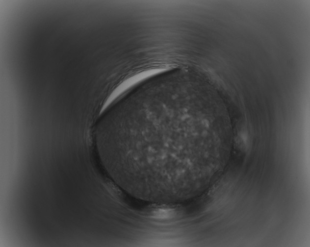 X0000089670658200706281340