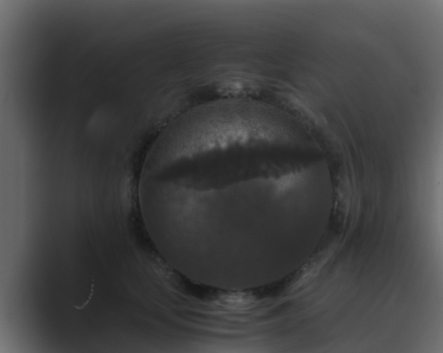 X0000089670659200706281340
