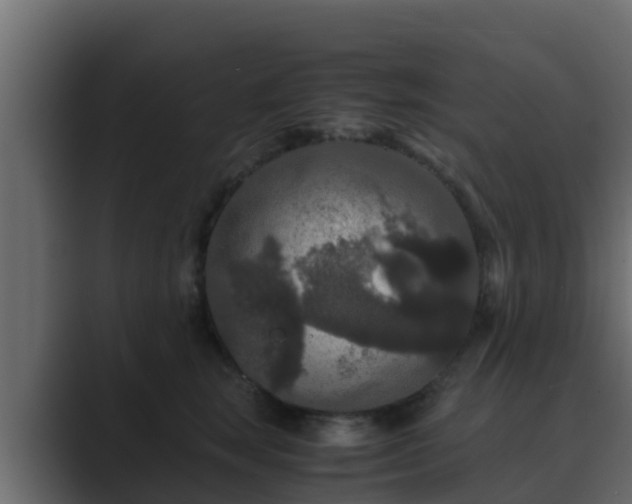 X0000089670663200706281340