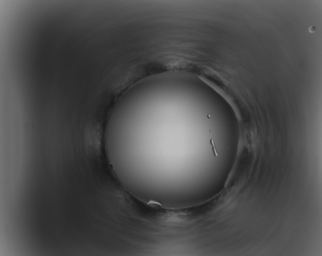 X0000089670664200706281340