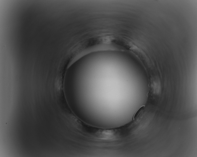 X0000089670665200706281340