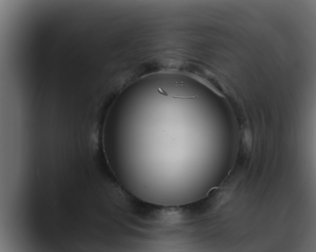 X0000089670668200706281340