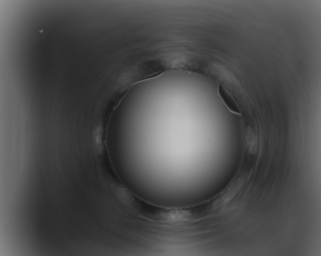 X0000089670670200706281340