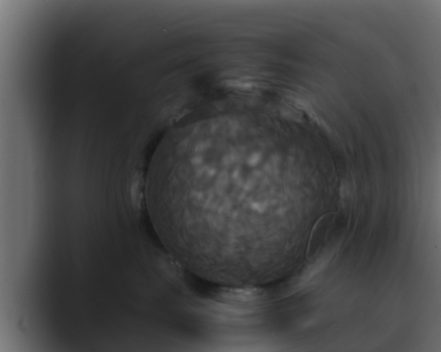 X0000089670671200706281340