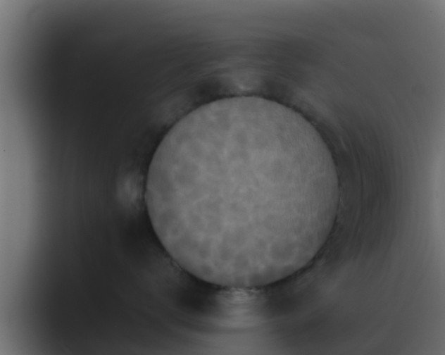 X0000089670672200706281340