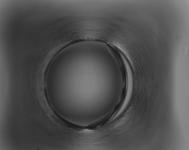 X0000089670673200706281340