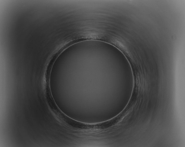 X0000089670674200706281340