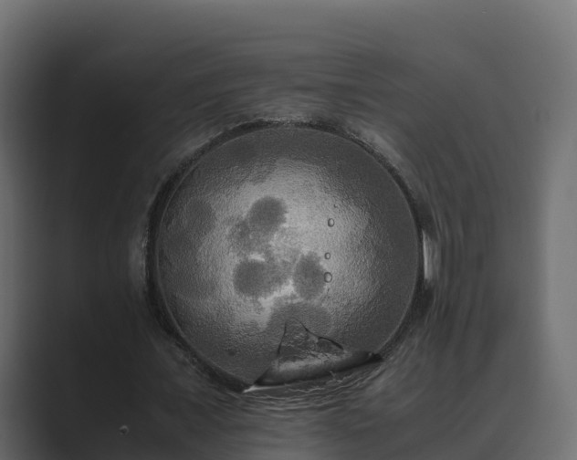 X0000089670675200706281340