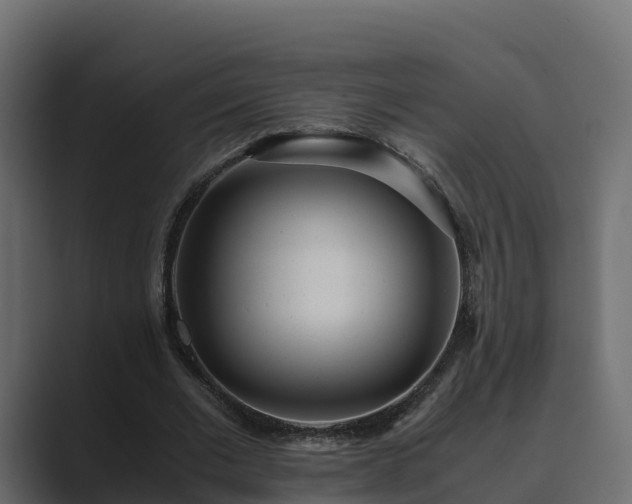 X0000089670677200706281340