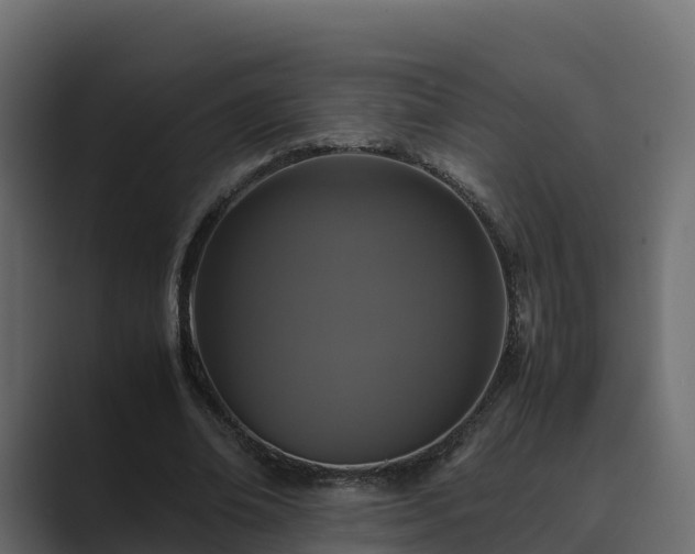 X0000089670678200706281340