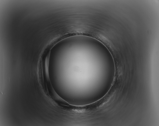 X0000089670680200706281340