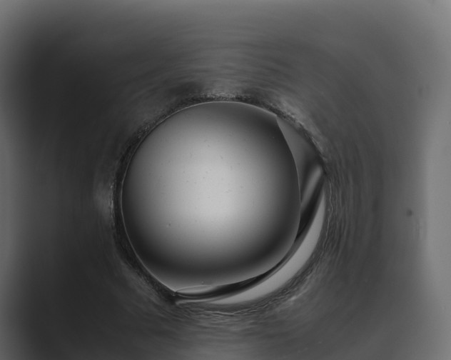 X0000089670681200706281340