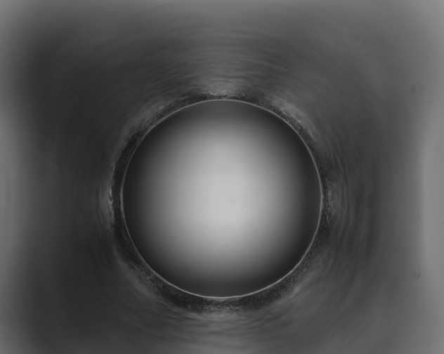 X0000089670682200706281340