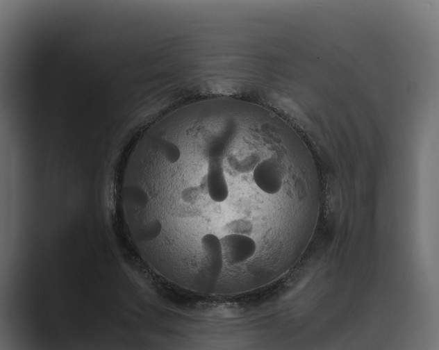 X0000089670683200706281340