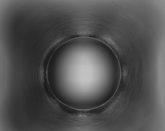 X0000089670684200706281340