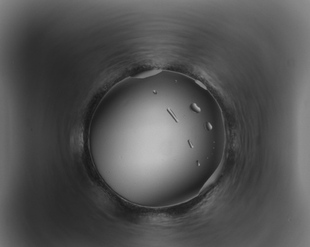 X0000089670685200706281340