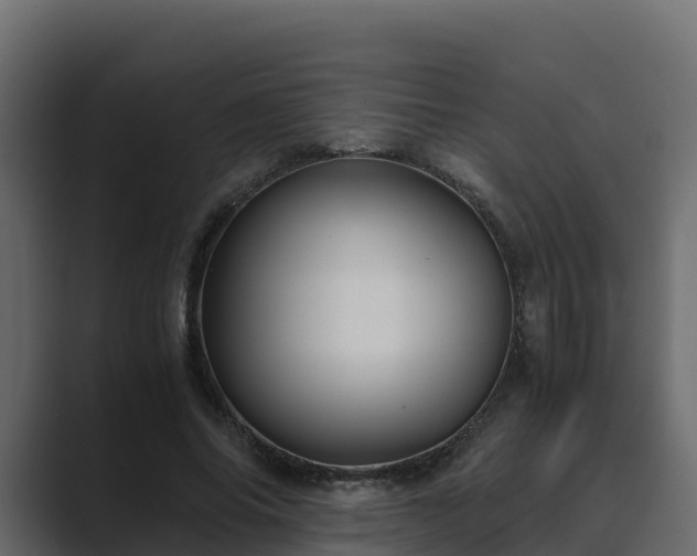 X0000089670686200706281340