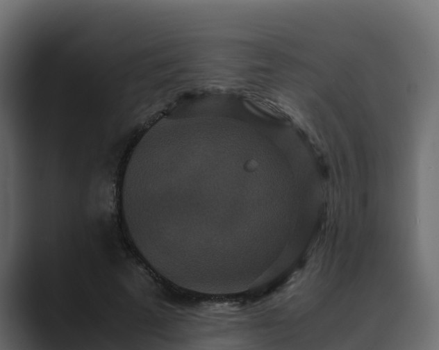 X0000089670689200706281340