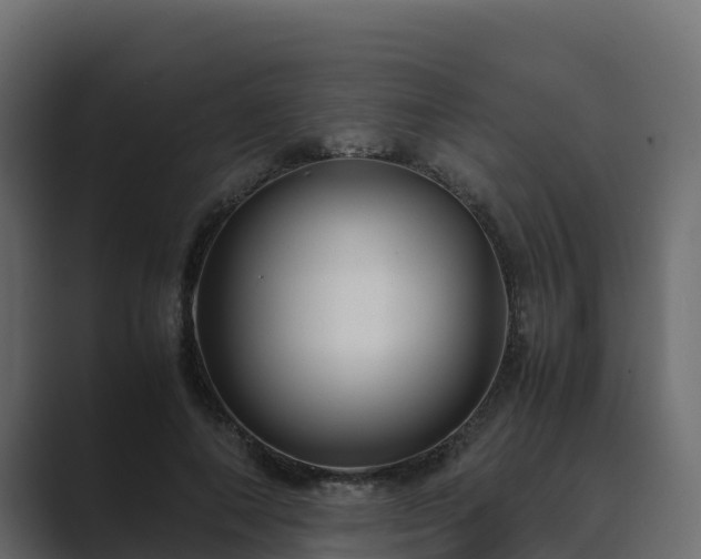 X0000089670690200706281340