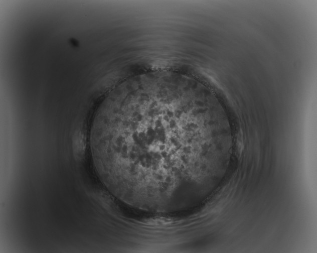 X0000089670691200706281340