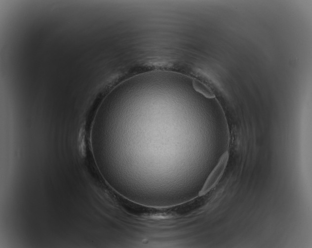 X0000089670692200706281340
