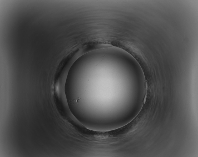 X0000089670693200706281340