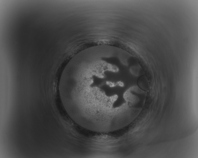 X0000089670695200706281339