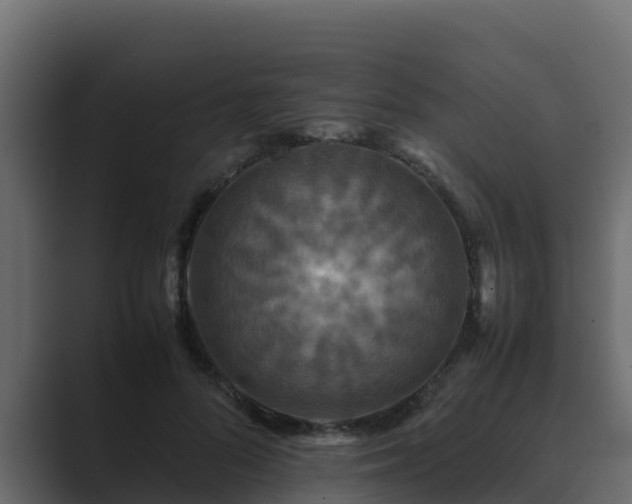X0000089670696200706281339