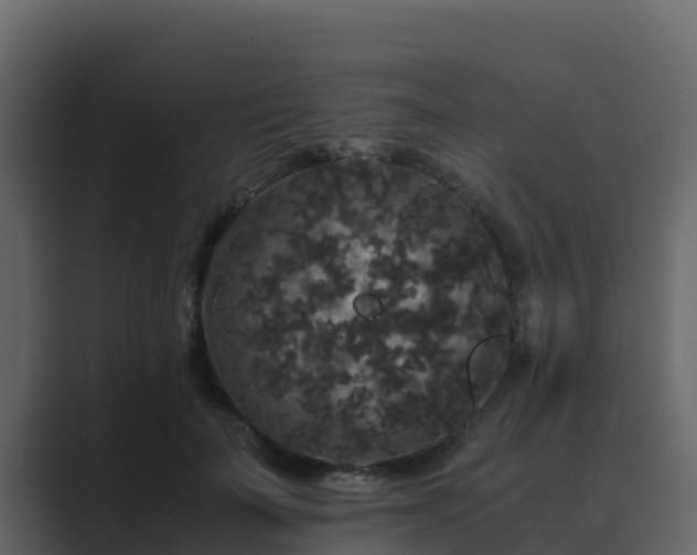 X0000089670699200706281339