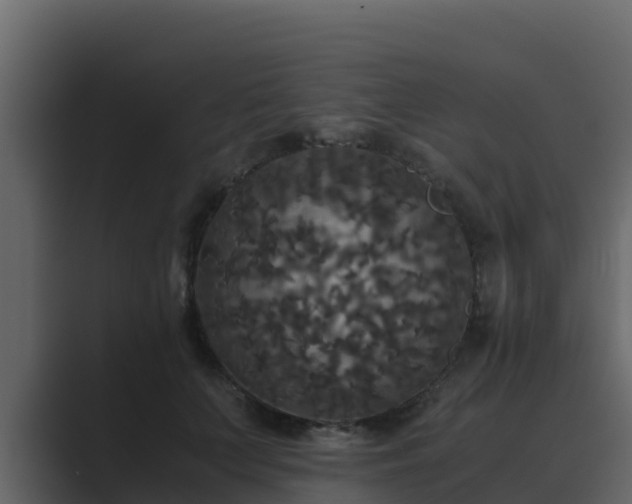 X0000089670703200706281339