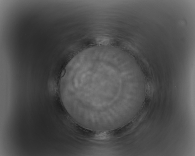 X0000089670705200706281339