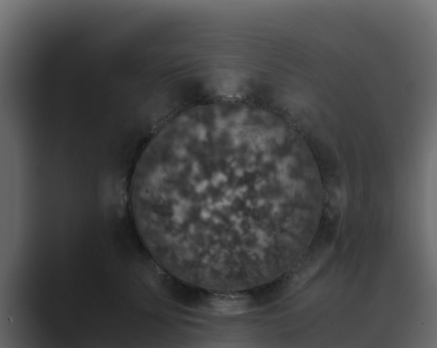 X0000089670707200706281339
