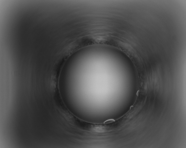 X0000089670710200706281339