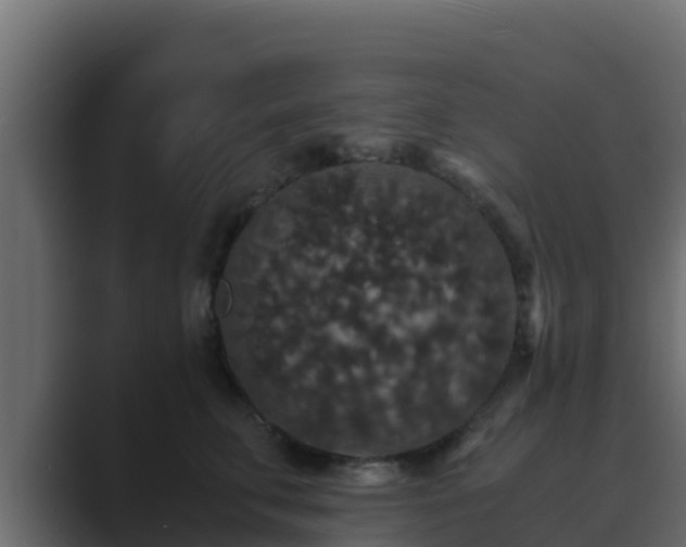 X0000089670711200706281339