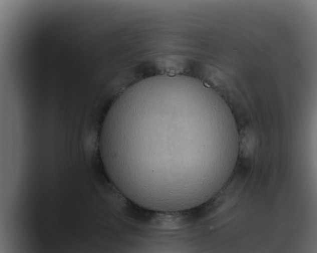 X0000089670713200706281339