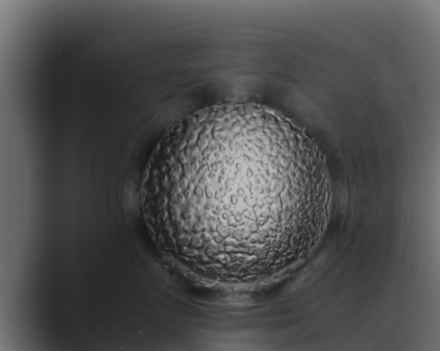 X0000089670719200706281339