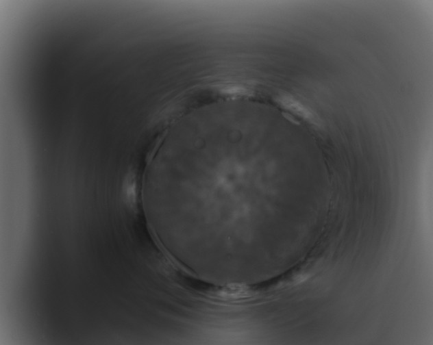 X0000089670720200706281339