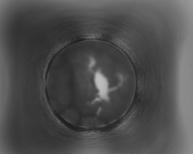 X0000089670721200706281339