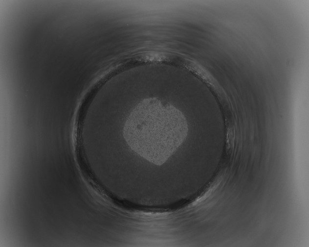 X0000089670722200706281339