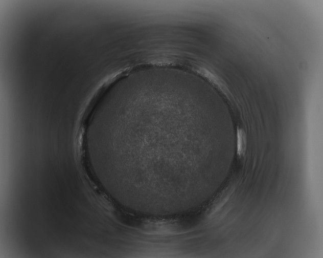 X0000089670723200706281339