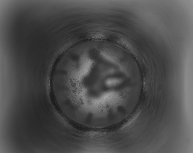 X0000089670725200706281339
