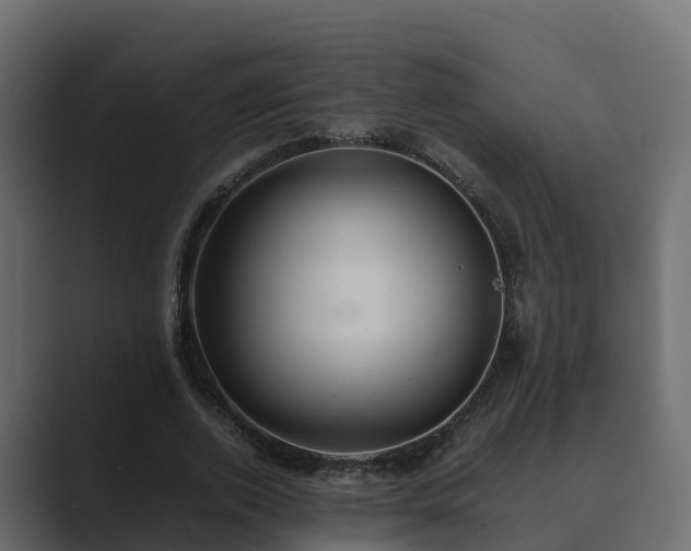 X0000089670728200706281339