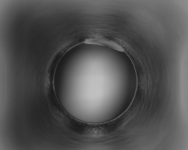 X0000089670731200706281339